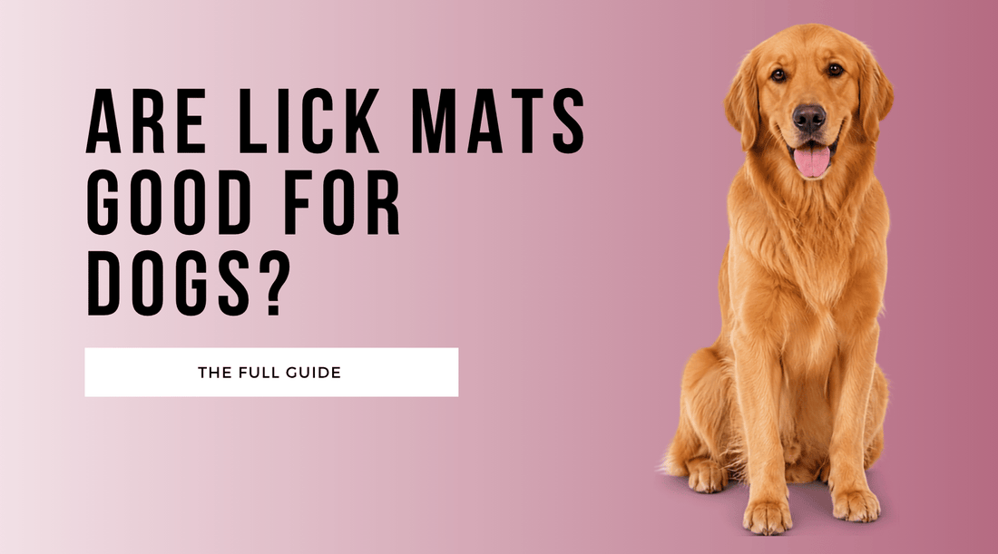 Are Lick Mats Good for Dogs?
