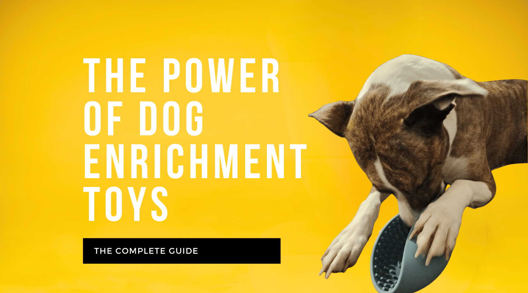 The Power of Dog Enrichment Toys