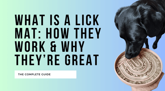 What Is a Lick Mat for Dogs? Benefits, Risks and How to Choose One