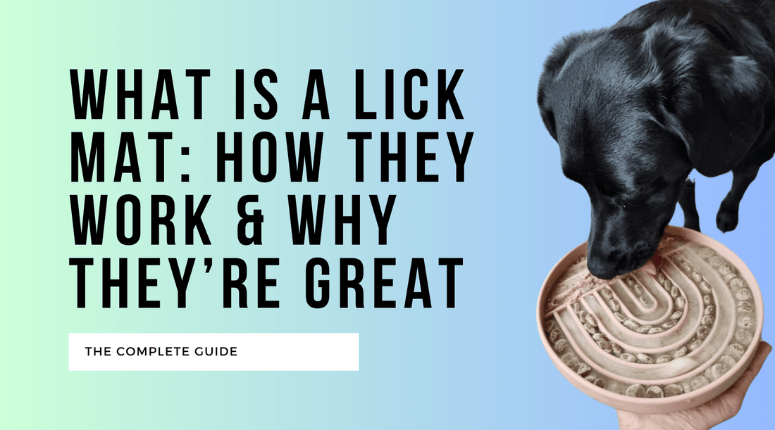 Lick Mats for Dogs: Benefits, Types, and Choosing the Right One