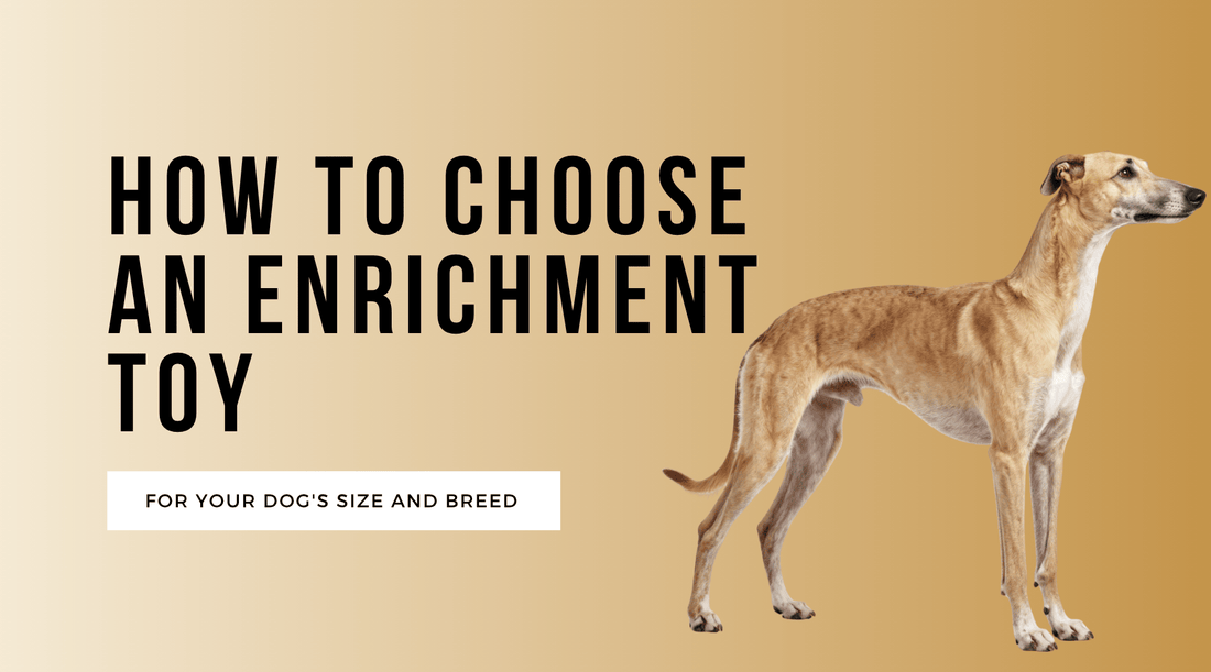 How to Choose an Enrichment Toy for Your Dog's Size and Breed