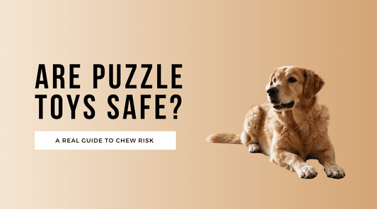 Are Puzzle Toys Safe? A Real Guide to Chew Risk and Supervision