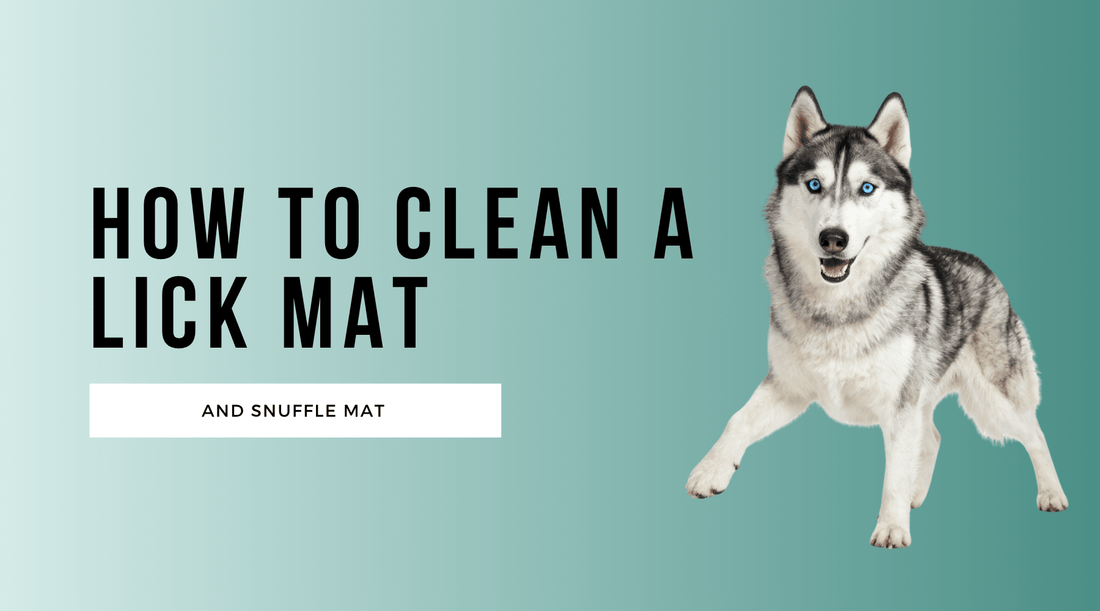 How to Clean a Lick Mat and Snuffle Mat