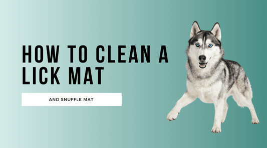 How to Clean a Lick Mat and Snuffle Mat