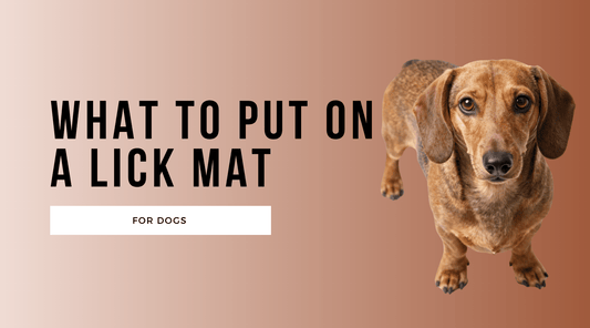What to Put on a Lick Mat for Dogs