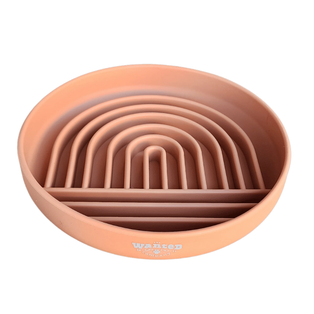 The Ollie (Terracotta)